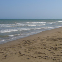 Platja dels Eucaliptus