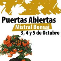 Portes Obertes Mistral Bonsai 2014