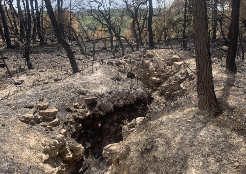 Ruta 'Primera línia de combat', Marcats pel 38