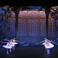 Dansa: 'Don Quixot' Dansa: 'Don Quixot'