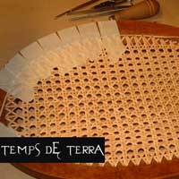 Taller de reixeta - Temps de Terra