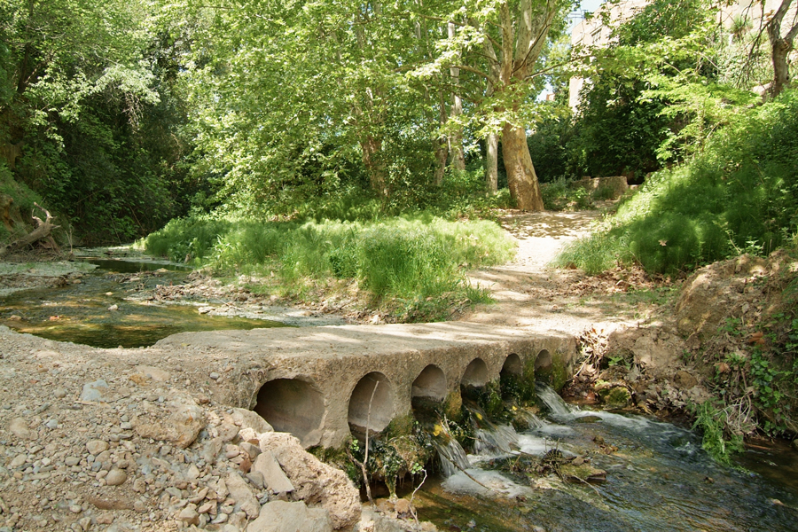 Camí del Riu de Sant Pere de Riudevitlles Camí del Riu de Sant Pere de Riudevitlles