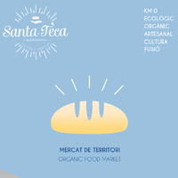 Santa Teca