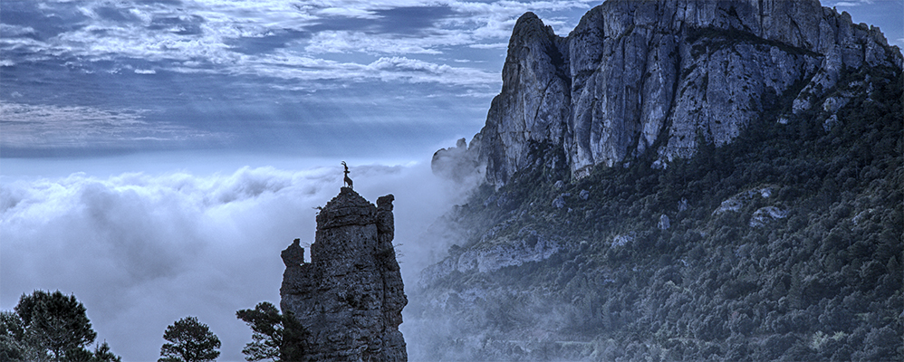 Sant Joan, Revetlla Sant Joan, Revetlla