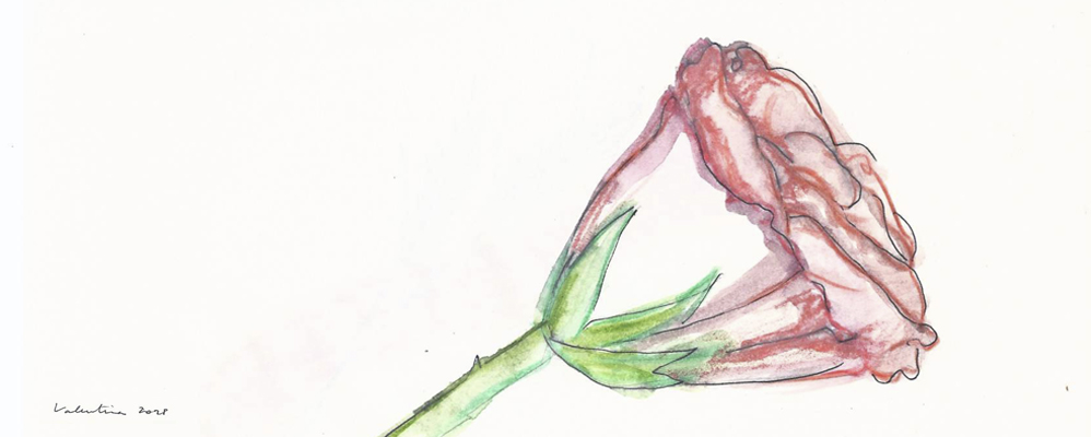 Sant Jordi 2015