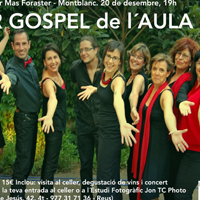 Music-Cata 2014