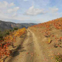 Les Vilelles 