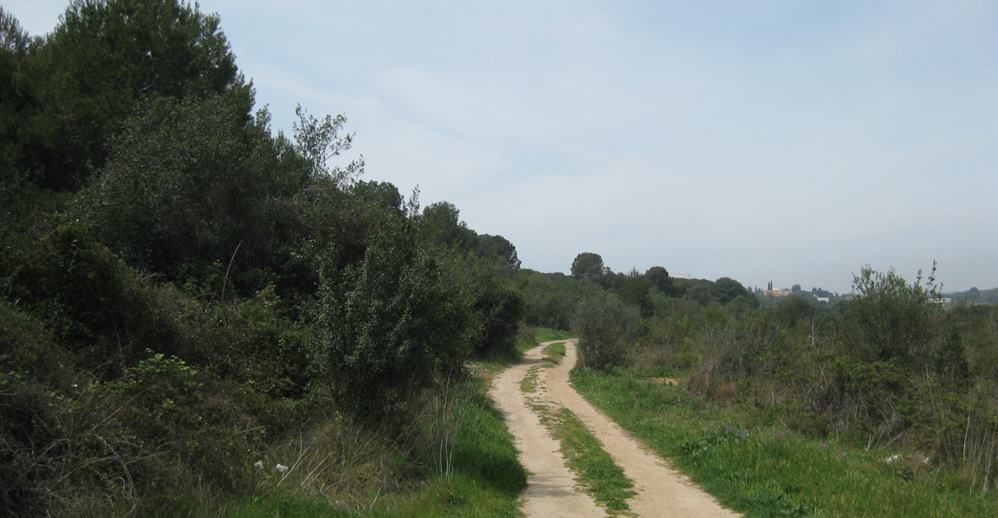 L'Ortoll L'Ortoll