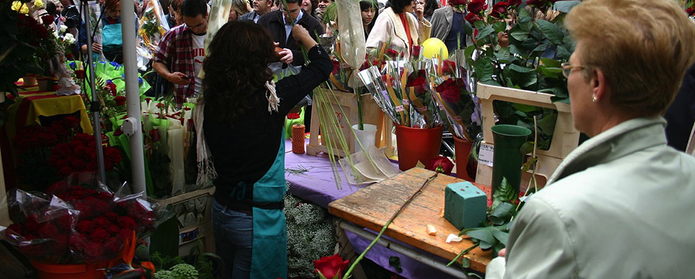 Sant Jordi 2015