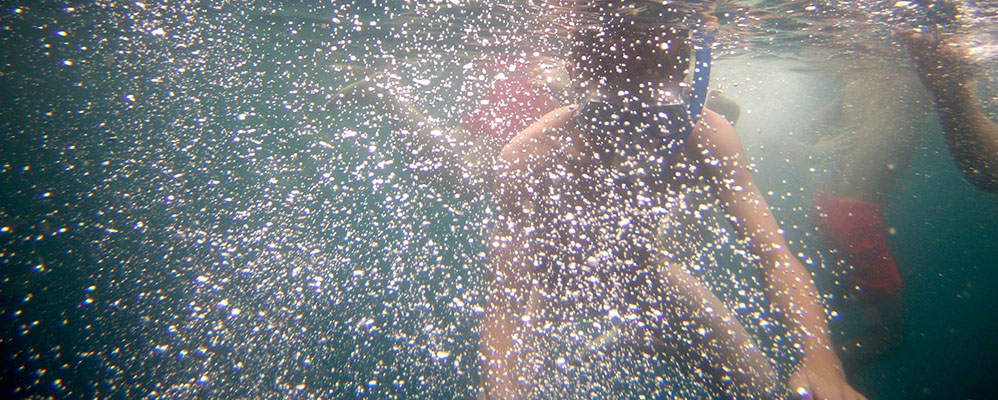 Tuna Tour Tuna Tour