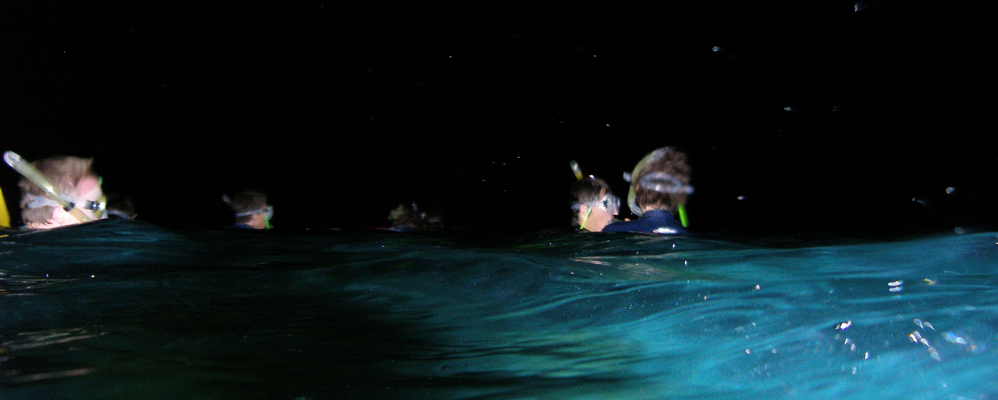 Snorkel nocturn
