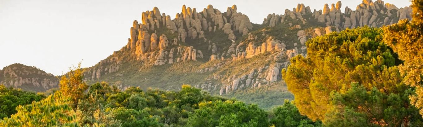 Anoia Turisme
