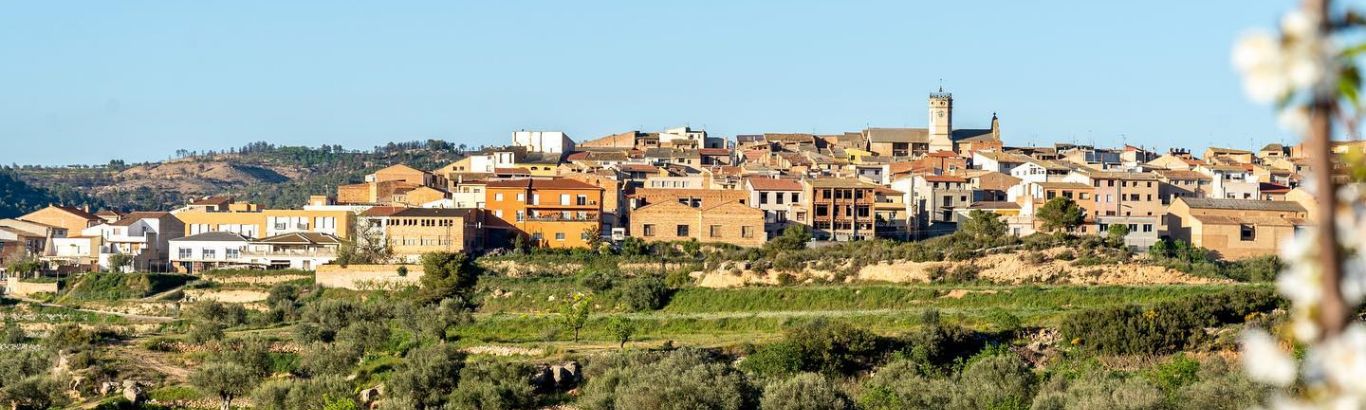 La Torre de l'Espanyol