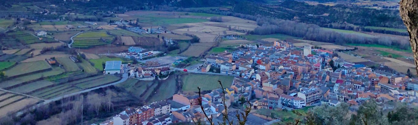 Artesa de Segre