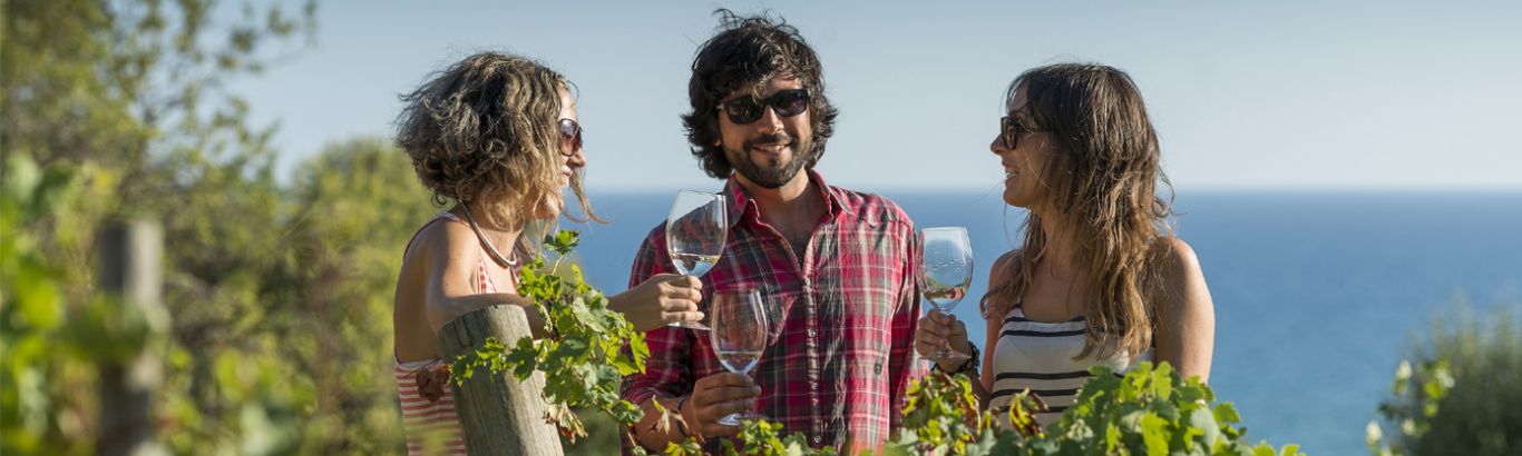 Consorci de Promoció Turística del Penedès