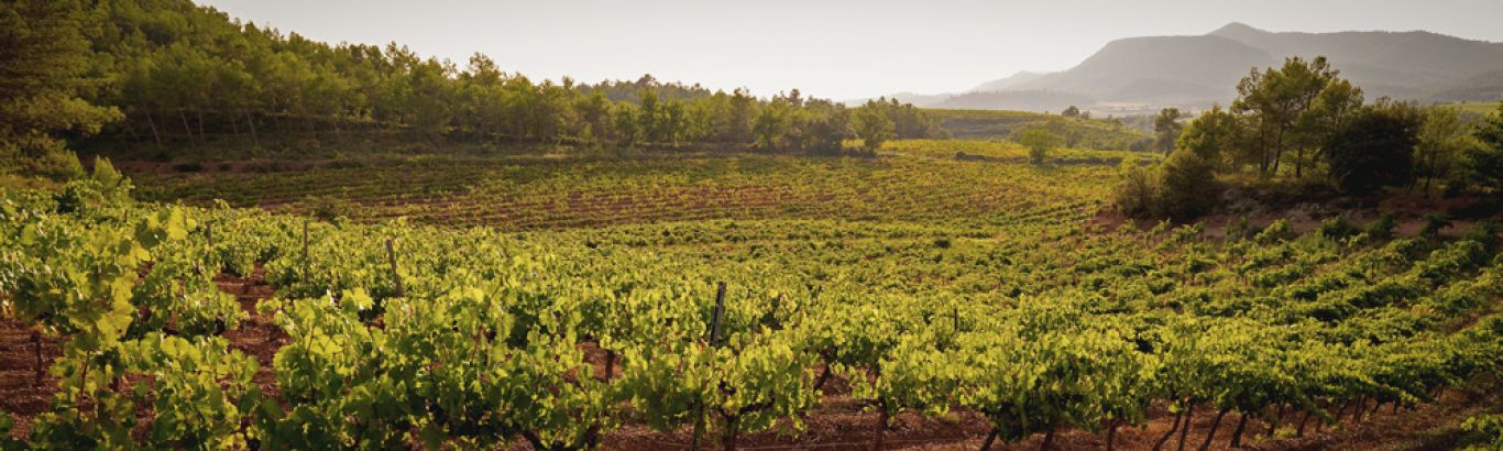 Bages Terra de Vins