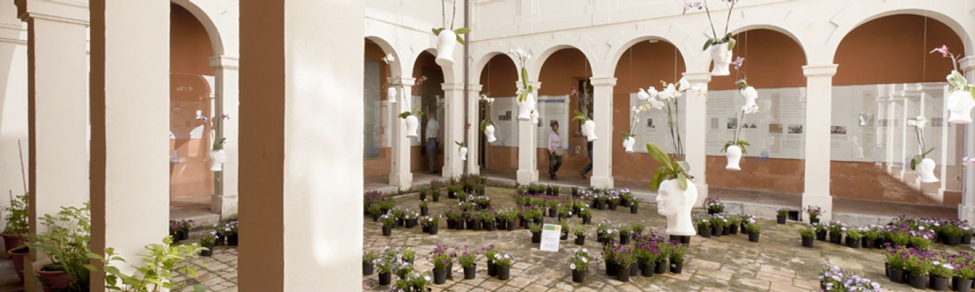 Museu d'Història 