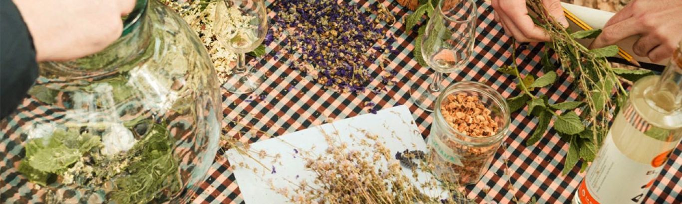 Taller de ratafia amb La Sobirana Cooperativa