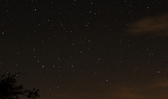 Cel estrellat