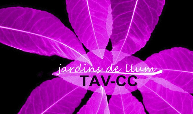 Jardins de llum / 16