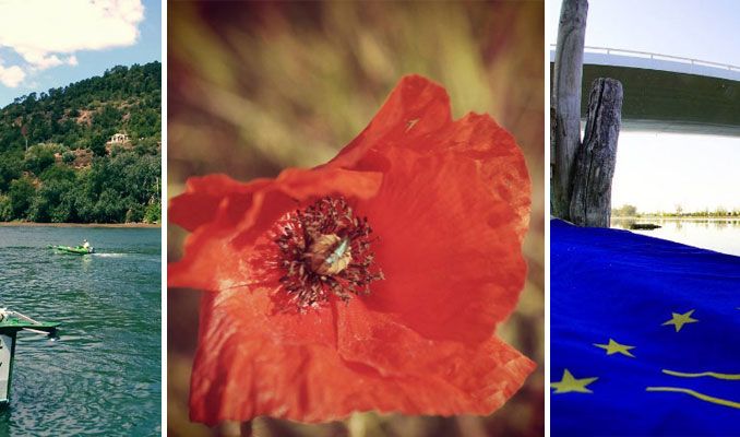 Instagram #surtdecasaebre 6 juny 2016 Instagram #surtdecasaebre 6 juny 2016