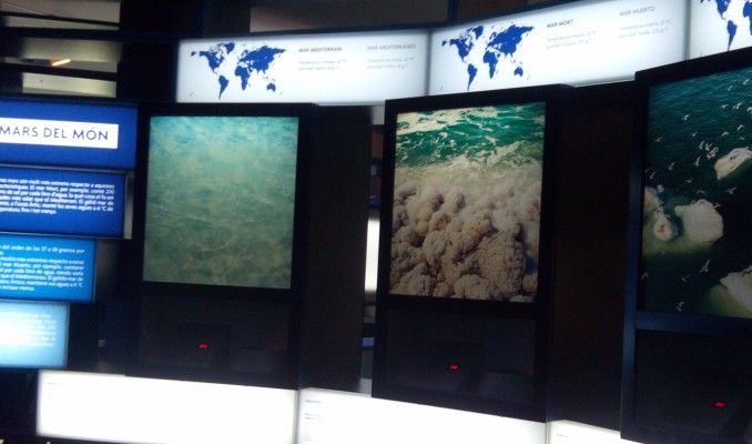 exposició, Mediterrani, CaixaForum, setembre, octubre, novembre, desembre, gener, febrer, març, Surtdecasa Ponent, 2017, 2016