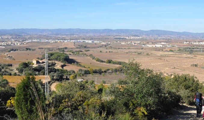 Vistes del Penedès a l'hivern