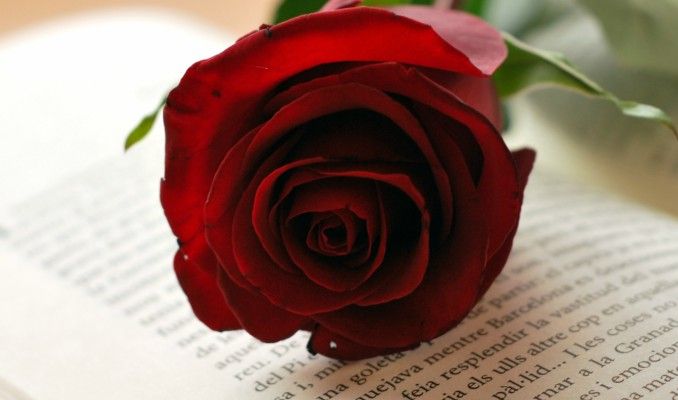 Sant Jordi Sant Jordi