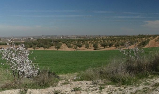 ponent, terra, entorn, natura, història, llegenda, XIX, bandolers, romanticisme, Urgell, Pla Urgell, Garrigues, Segrià, març, 2017, Sutdecasa Ponent ponent, terra, entorn, natura, història, llegenda, XIX, bandolers, romanticisme, Urgell, Pla Urgell, Garrigues, Segrià, març, 2017, Sutdecasa Ponent