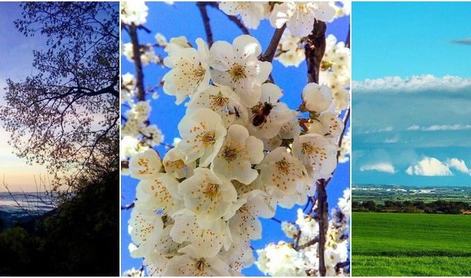 instagram, surtdecasa ponent, fotografies, abril, entorn, natura, cultura, primavera, 2017 instagram, surtdecasa ponent, fotografies, abril, entorn, natura, cultura, primavera, 2017
