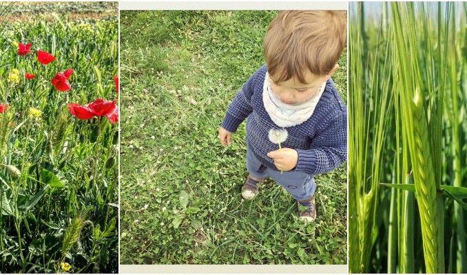 fotografies, imatges, Instagram, Surtdecasa Ponent, abril, Setmana Santa, igers, 2017