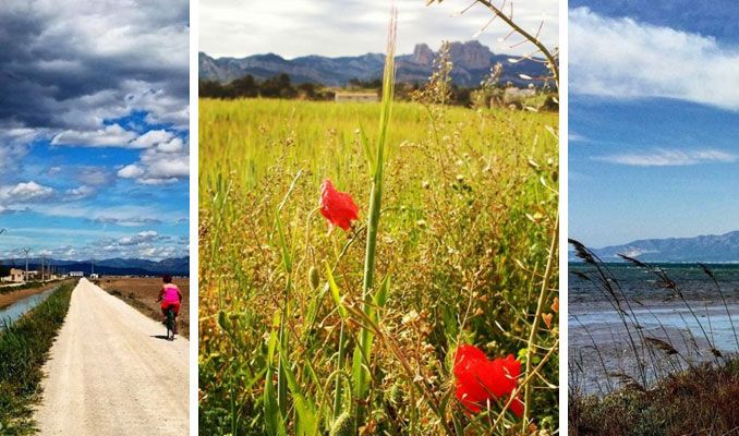 Instagram #surtdecasaebre 18 abril 2016 Instagram #surtdecasaebre 18 abril 2016