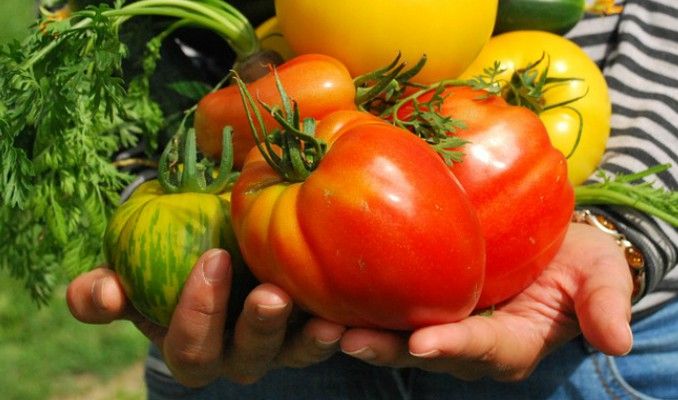 Viu l'Hort Viu l'Hort