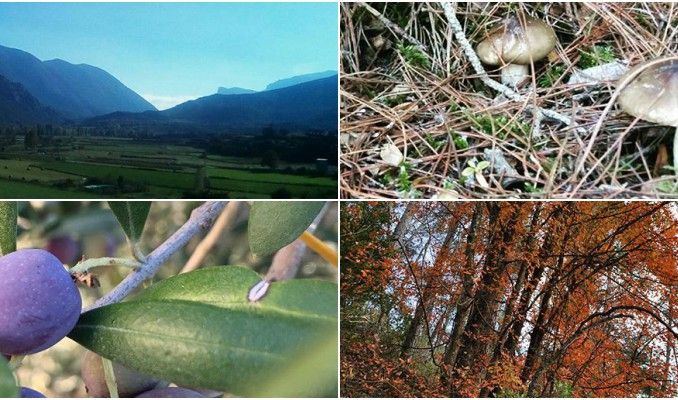 instagram, fotografies, cap de setmana, octubre, Surtdecasa Ponent, 2016