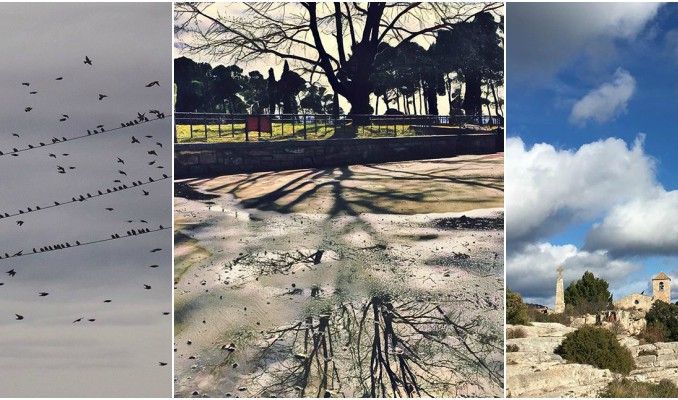 instagram, febrer, Surtdecasa, fotografies, Surtdecasa Ponent, #surtdecasaponent instagram, febrer, Surtdecasa, fotografies, Surtdecasa Ponent, #surtdecasaponent