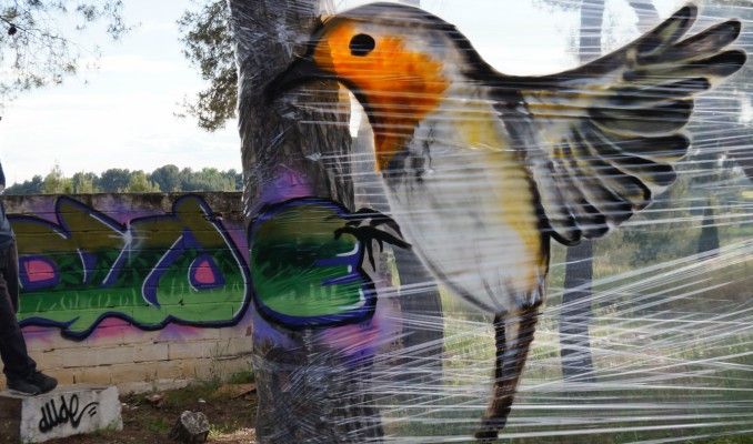 Dude, entrevista, graffiti, cellografiti, Lleida, Surtdecasa Ponent