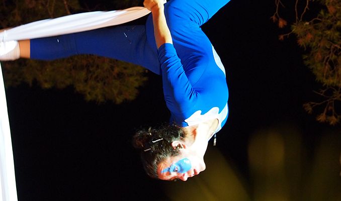 Nit dels Artistes de Cambrils