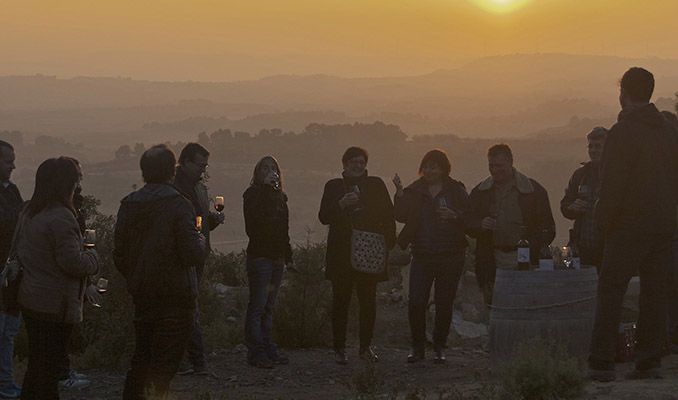 Tast de vins