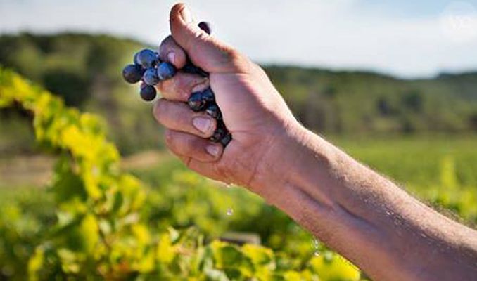 Imatge del documental 'Fermentación espontánea'
