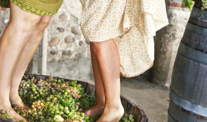 La Verema del Cava La Verema del Cava