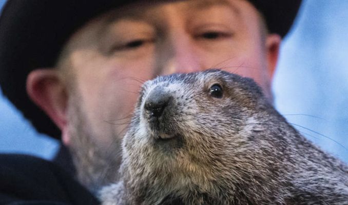 Dia de la Marmota