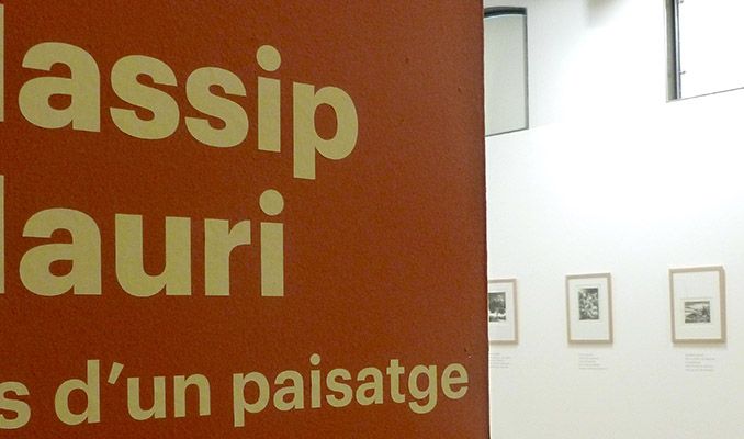 Massip i Mauri