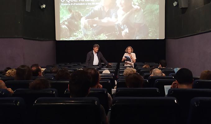 Cinema Truffaut Cinema Truffaut