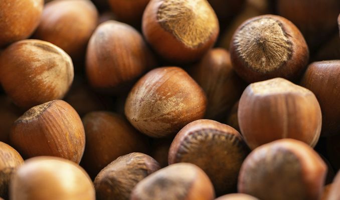 plans gastronòmics de l'agost