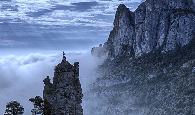 Sant Joan, Revetlla