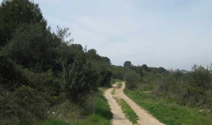 L'Ortoll