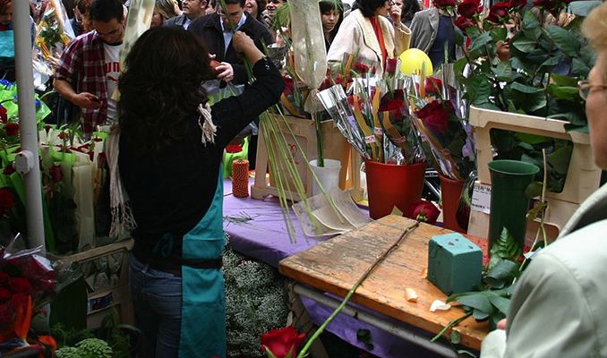 Sant Jordi 2015