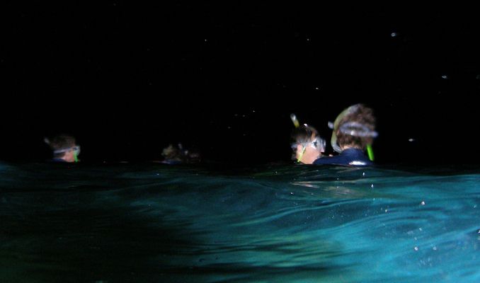 Snorkel nocturn