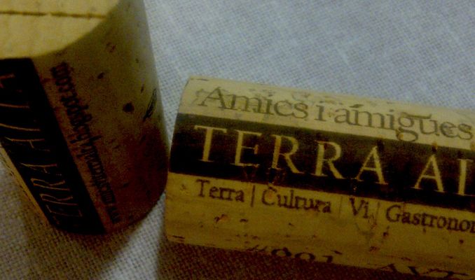 Vi Terra Alta 