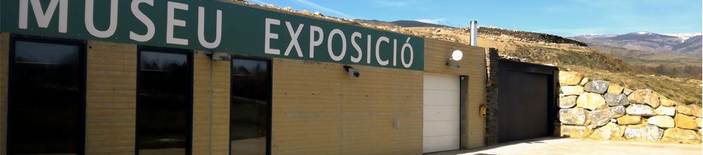 Museu Espai Ceretània
